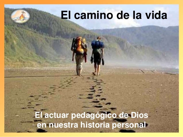 Escribe un comentario